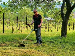 Quelle puissance choisir pour un rotofil ?