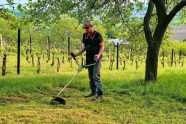 Quelle puissance choisir pour un rotofil ?